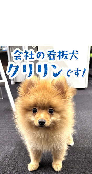 カルーセル88